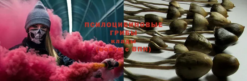 Псилоцибиновые грибы Psilocybe  Красноуральск 